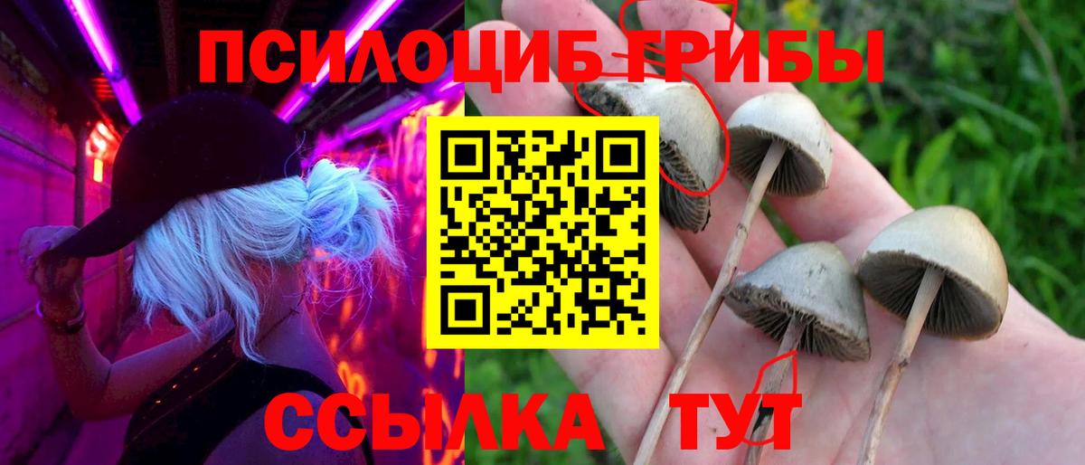 Галлюциногенные грибы ЛСД  купить закладку  Псилоцибиновые грибы ЛСД  Великий Устюг  Вход с VPN 
